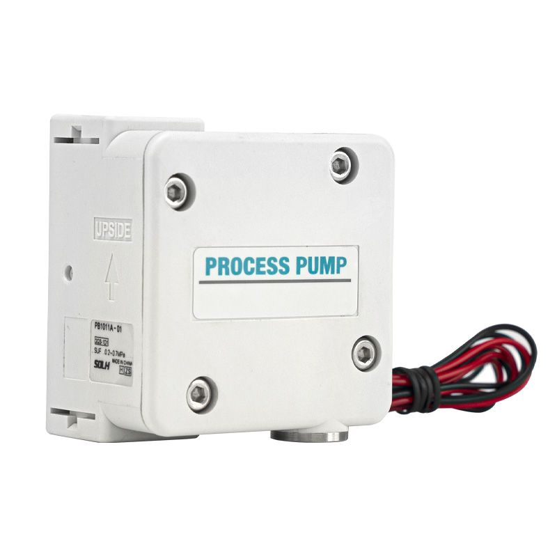 Bơm xử lý PB1011